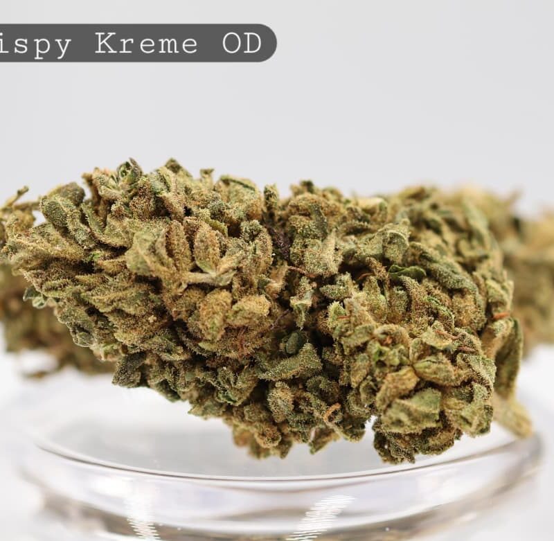 Krispy Kreme Flower - Outdoor 1g