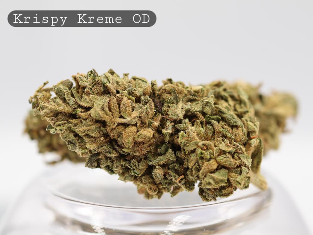 Krispy Kreme Flower - Outdoor 1g