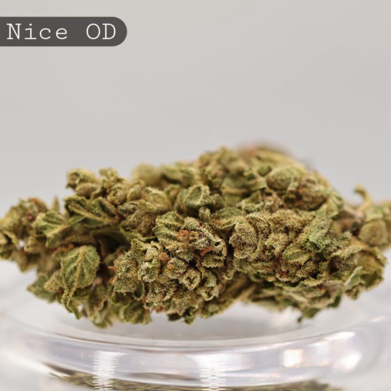 Mr Nice Flower - Outdoor 1g