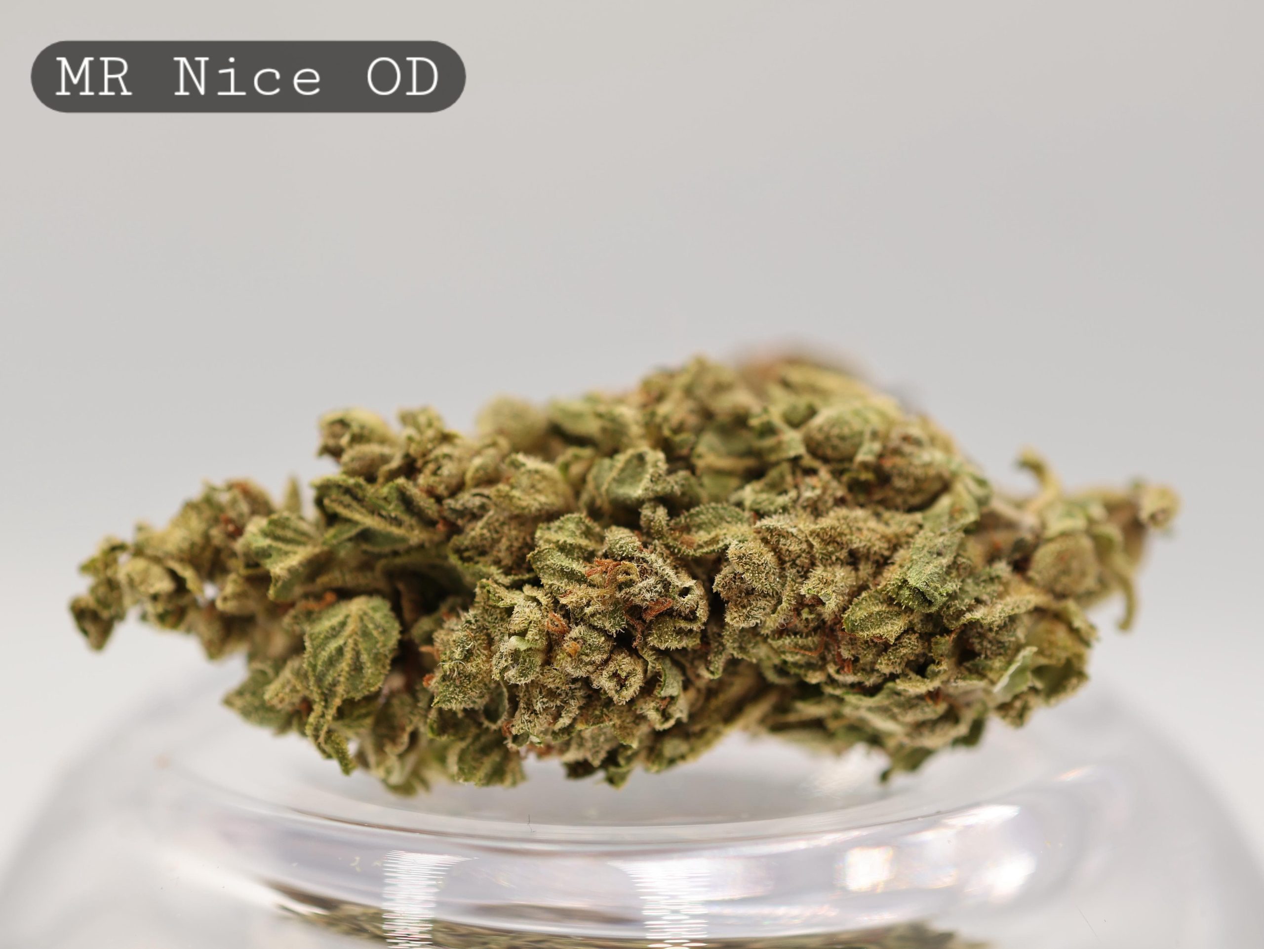 Mr Nice Flower - Outdoor 1g