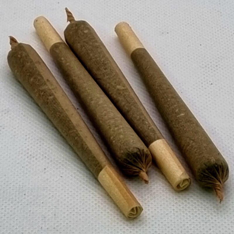 The Jack aka Jack Herer